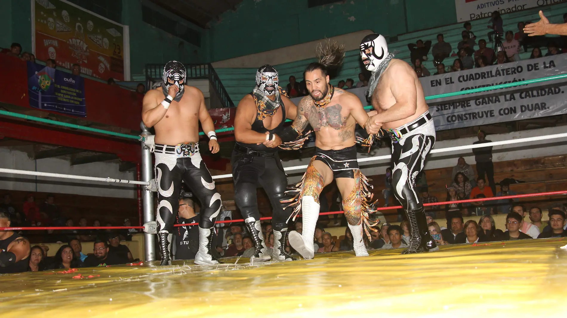 LUCHAS (5)